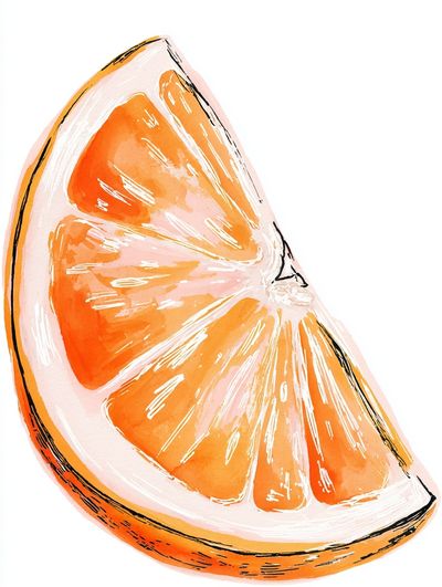 Orange Slice Watercolor Print. poster