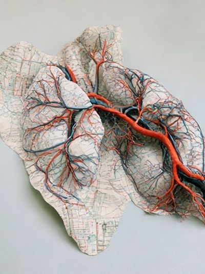 Topographic Heart Anatomy Print. poster