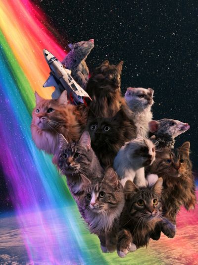 Cosmic Cats Rainbow Poster. poster