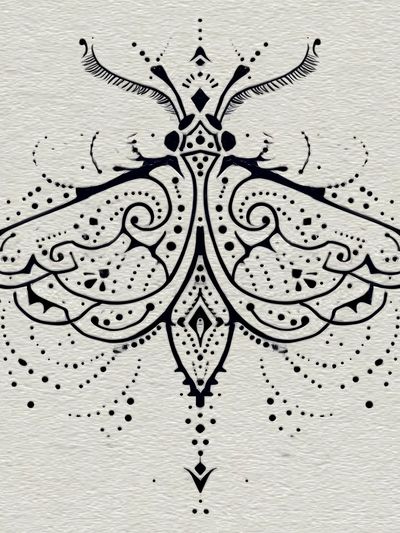 Ornamental Moth Line Art Poster. poster