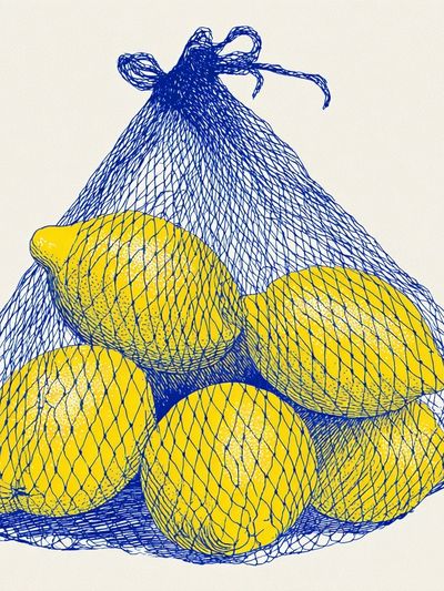 Lemons in Mesh Bag Illustration Poster. poster print