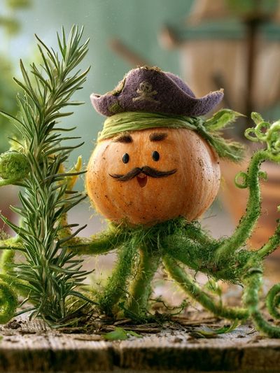 Whimsical Onion Pirate Illustration Poster. poster