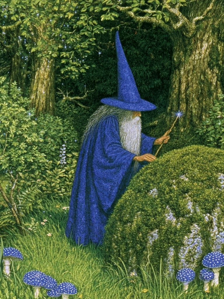 Wizard in Enchanted Forest Poster. poster — illustration art