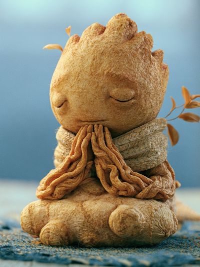 Meditating Root Spirit Illustration Poster. poster