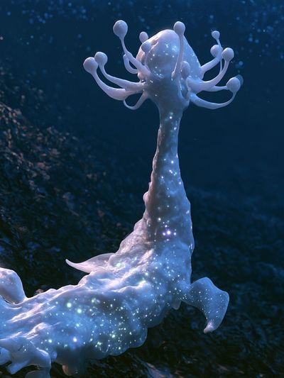 Celestial Coral Fantasy Print.