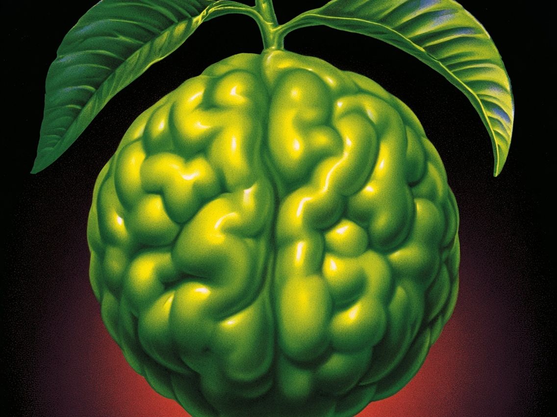 Surreal Green Brain Fruit Poster. poster — illustration art