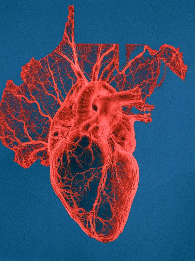 Anatomical Heart Digital Art Print. poster detail