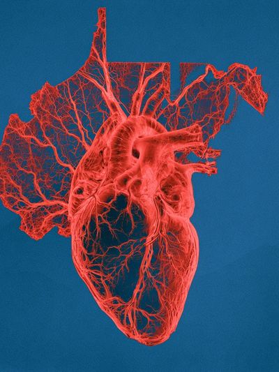 Anatomical Heart Digital Art Print. poster