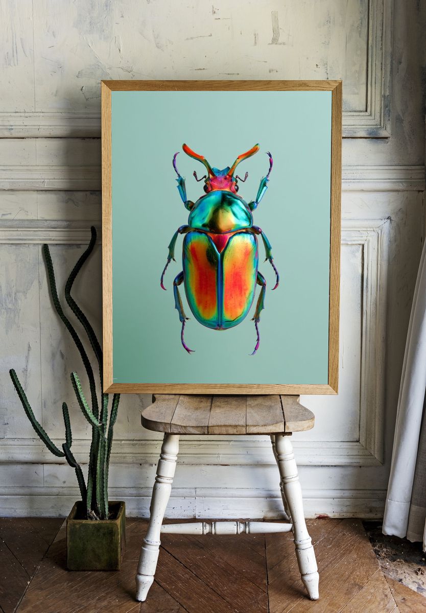 Rainbow Beetle Illustration Poster. — room view 1