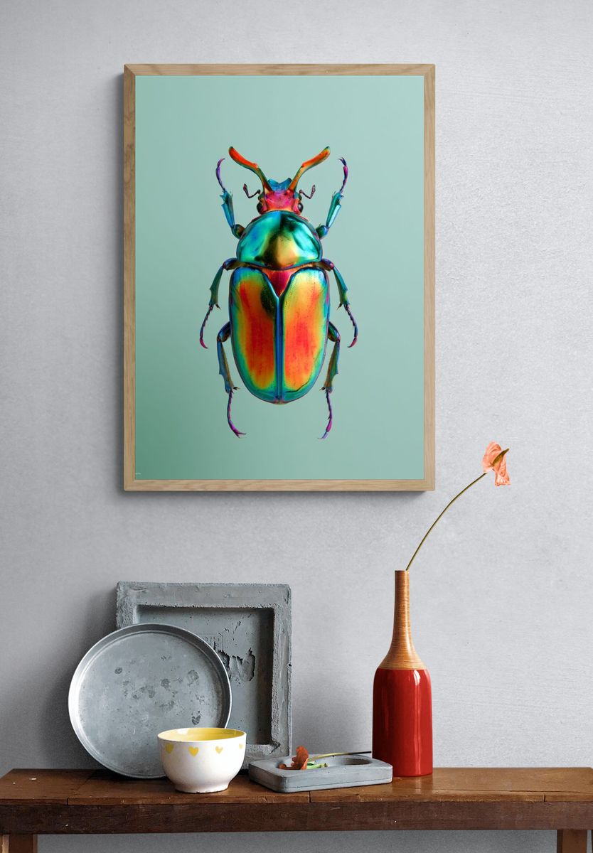 Rainbow Beetle Illustration Poster. — room view 3