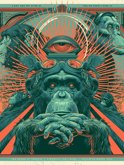 Surreal Chimpanzee Eye Poster. poster