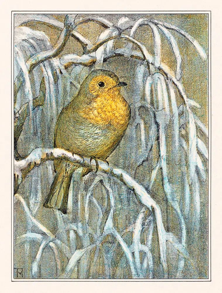 Roodborstje op besneeuwde boomtak (1878–1910). poster detail