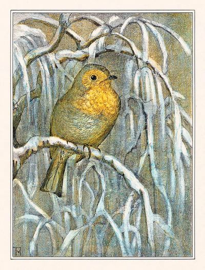 Roodborstje op besneeuwde boomtak (1878–1910). poster