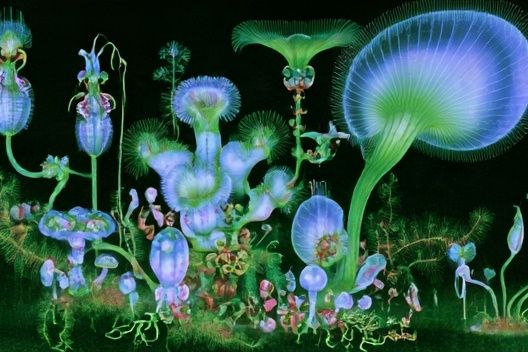 Bioluminescent Fungi Illustration Poster. poster detail