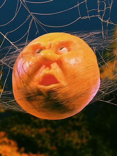 Surreal Pumpkin Face Print. poster
