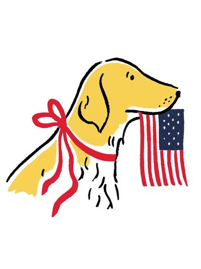 Patriotic Dog Illustration Poster. poster