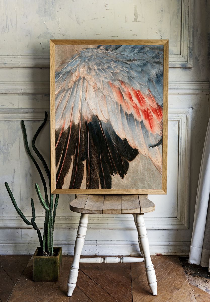 Feather Study Illustration Poster. — room view 1