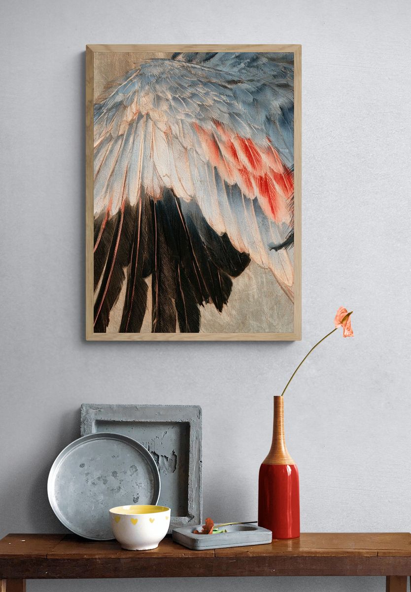 Feather Study Illustration Poster. — room view 3