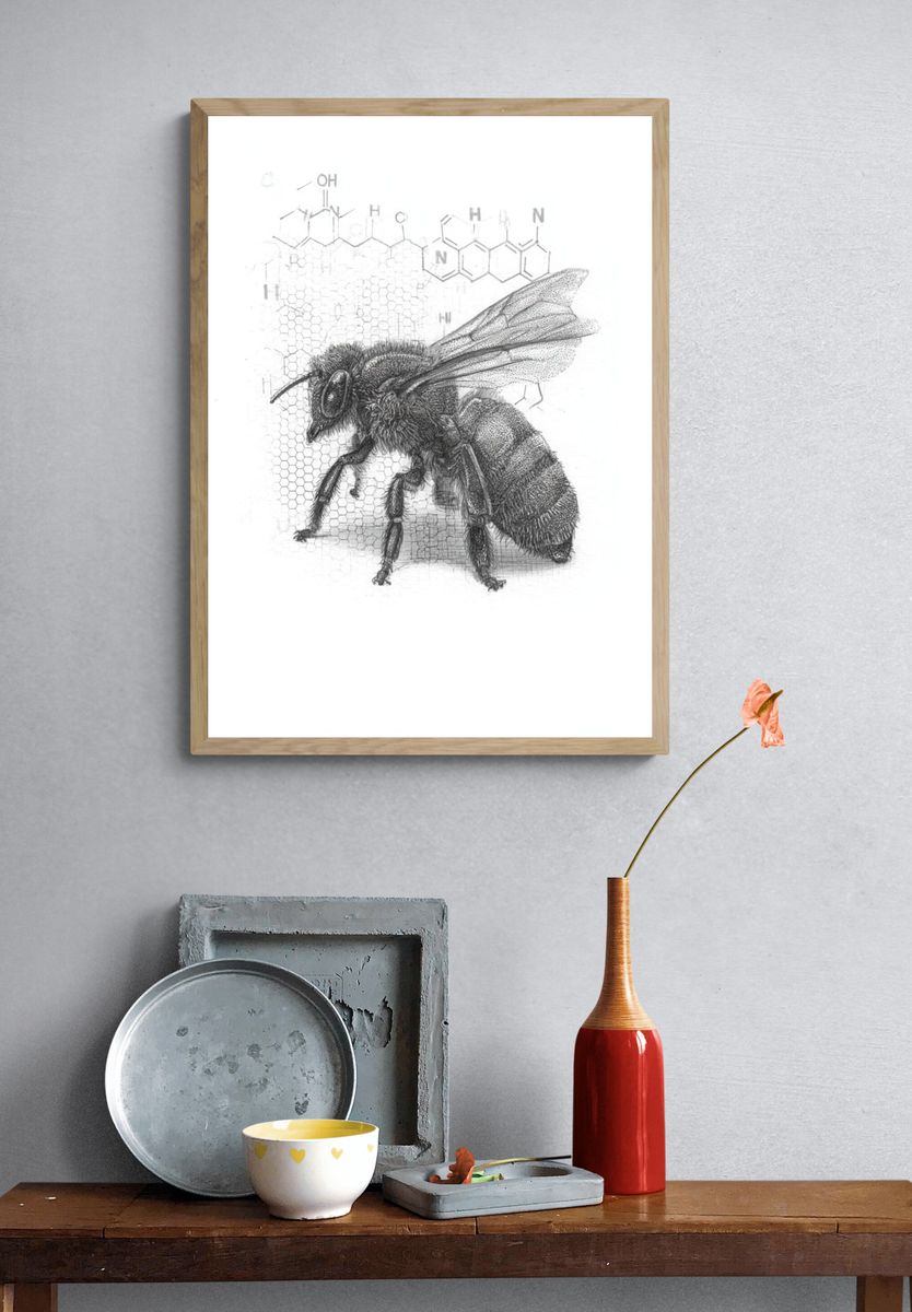 Honey Bee Scientific Illustration Poster. — room view 3