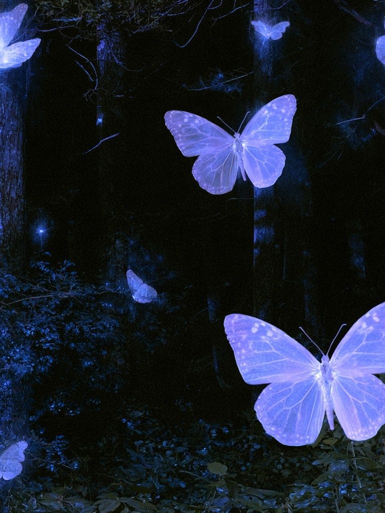 Glowing Butterflies in Forest Print. poster — illustration art
