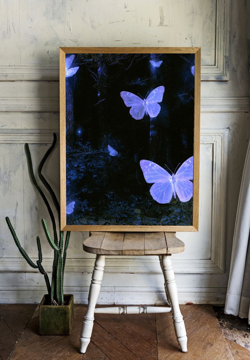 Glowing Butterflies in Forest Print. room preview