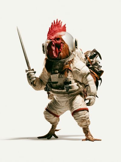 Astronaut Rooster Illustration Poster. poster