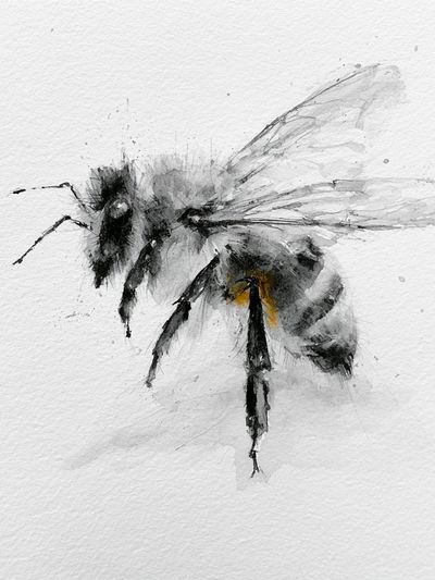 Watercolor Bee Illustration Poster. poster print