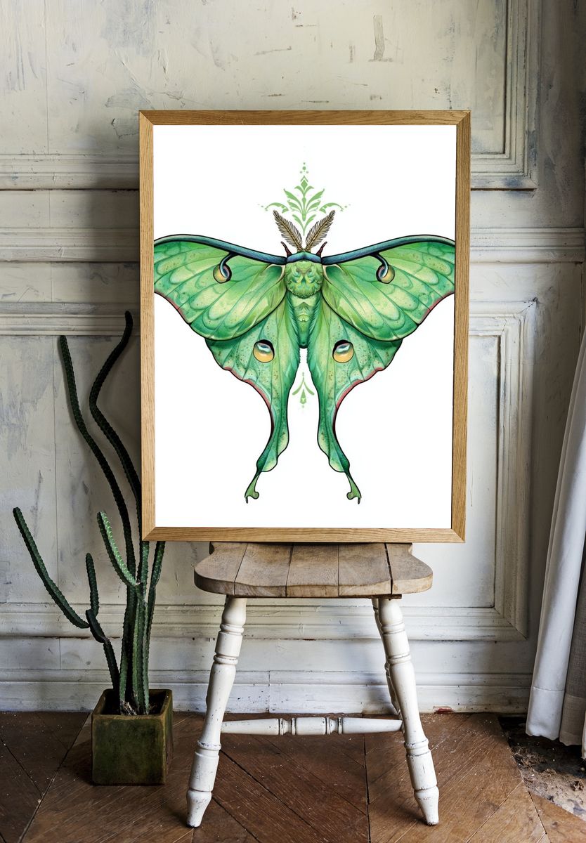 Green Luna Moth Illustration Poster. — room view 1