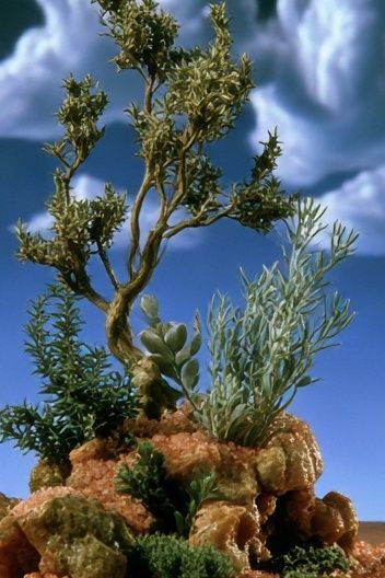 Miniature Tree Landscape Illustration Poster. poster — illustration art