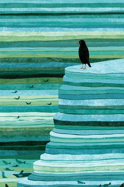 Seabird on Ice Cliff Illustration Poster. poster print