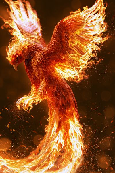 Phoenix Firebird Illustration Poster. poster