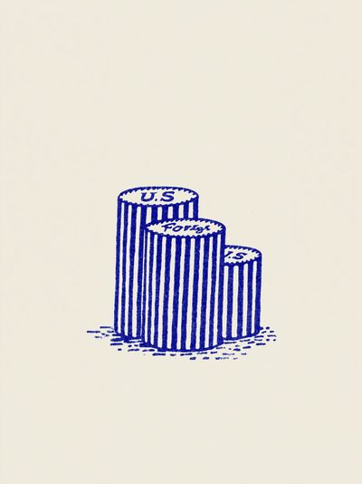U.S. Forest Stumps Illustration Poster. poster