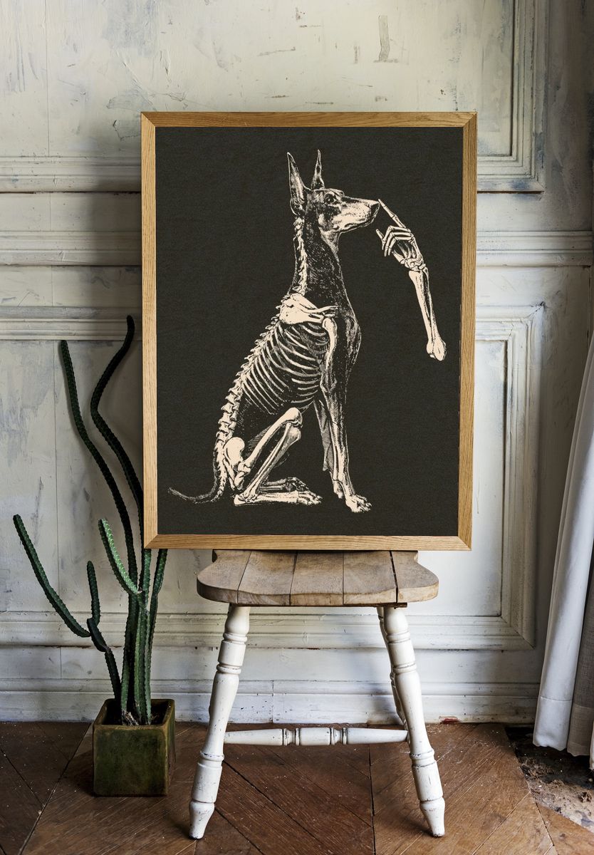 Anatomical Dog Skeleton Illustration Poster. — room view 1