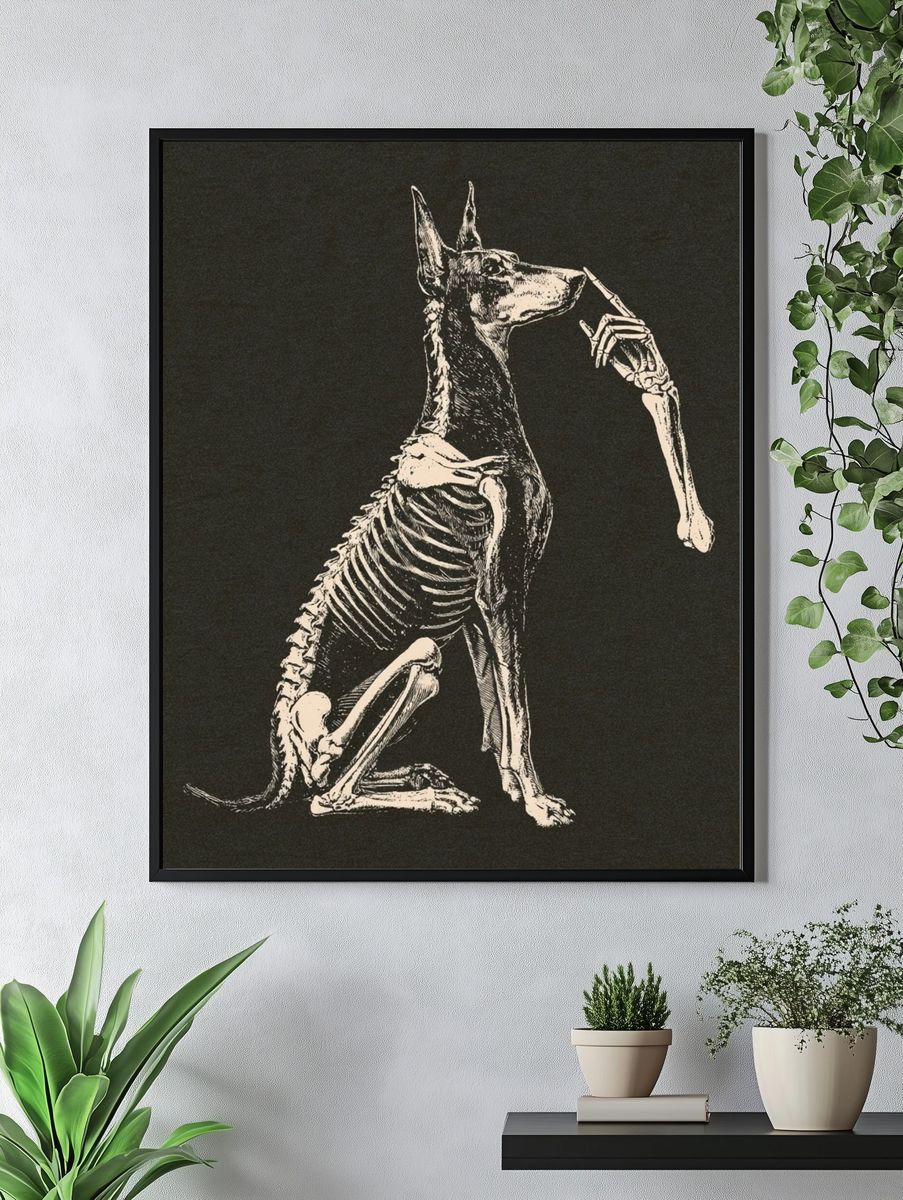 Anatomical Dog Skeleton Illustration Poster. — room view 4