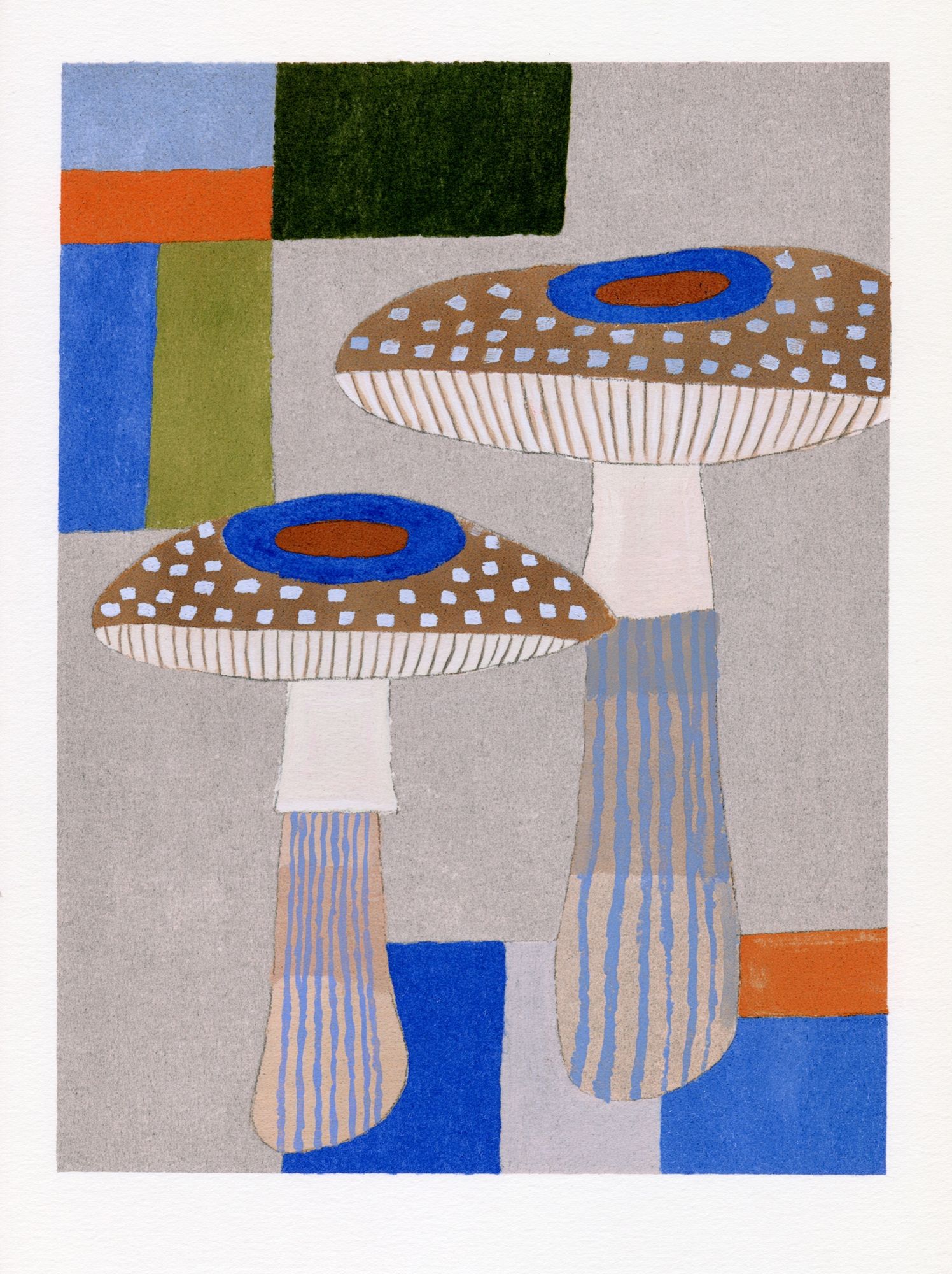 Mushroom Still Life Illustration Poster. poster — illustration art