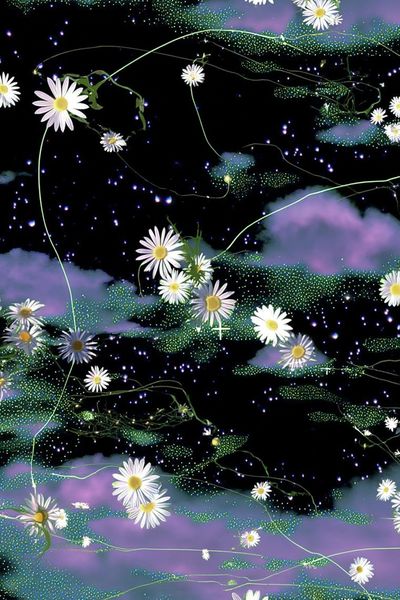 Cosmic Daisy Garden Illustration Poster. poster print