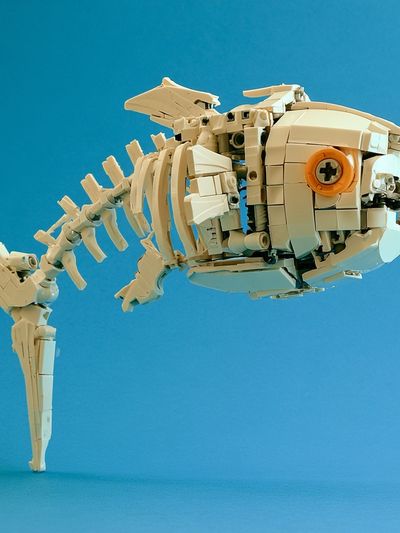 LEGO Fish Skeleton Illustration Print.
