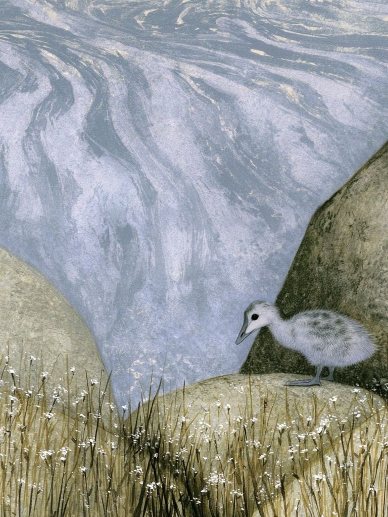 Seaside Chick Illustration Print. poster — illustration art