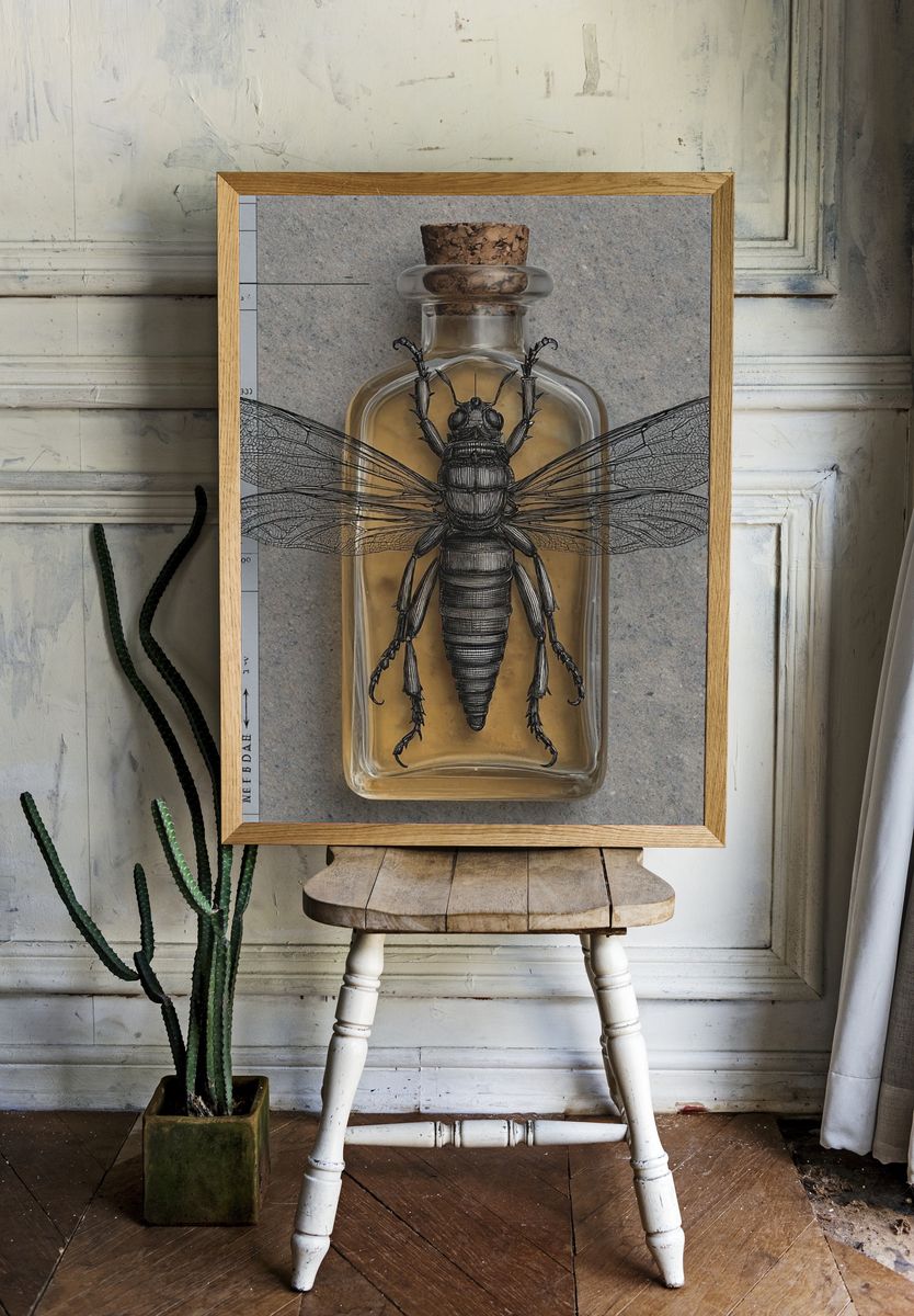 Entomology Bottle Illustration Poster room preview