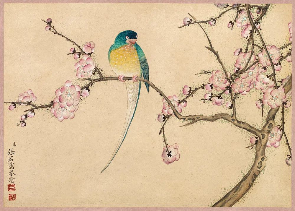 Bird Plum Blossoms (18th Century). poster — illustration art