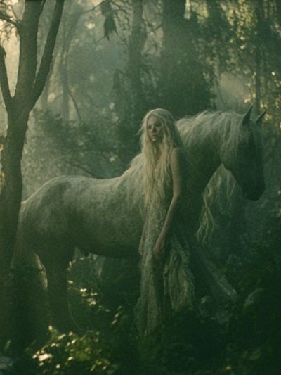 Enchanted Forest Horse Illustration Poster. poster