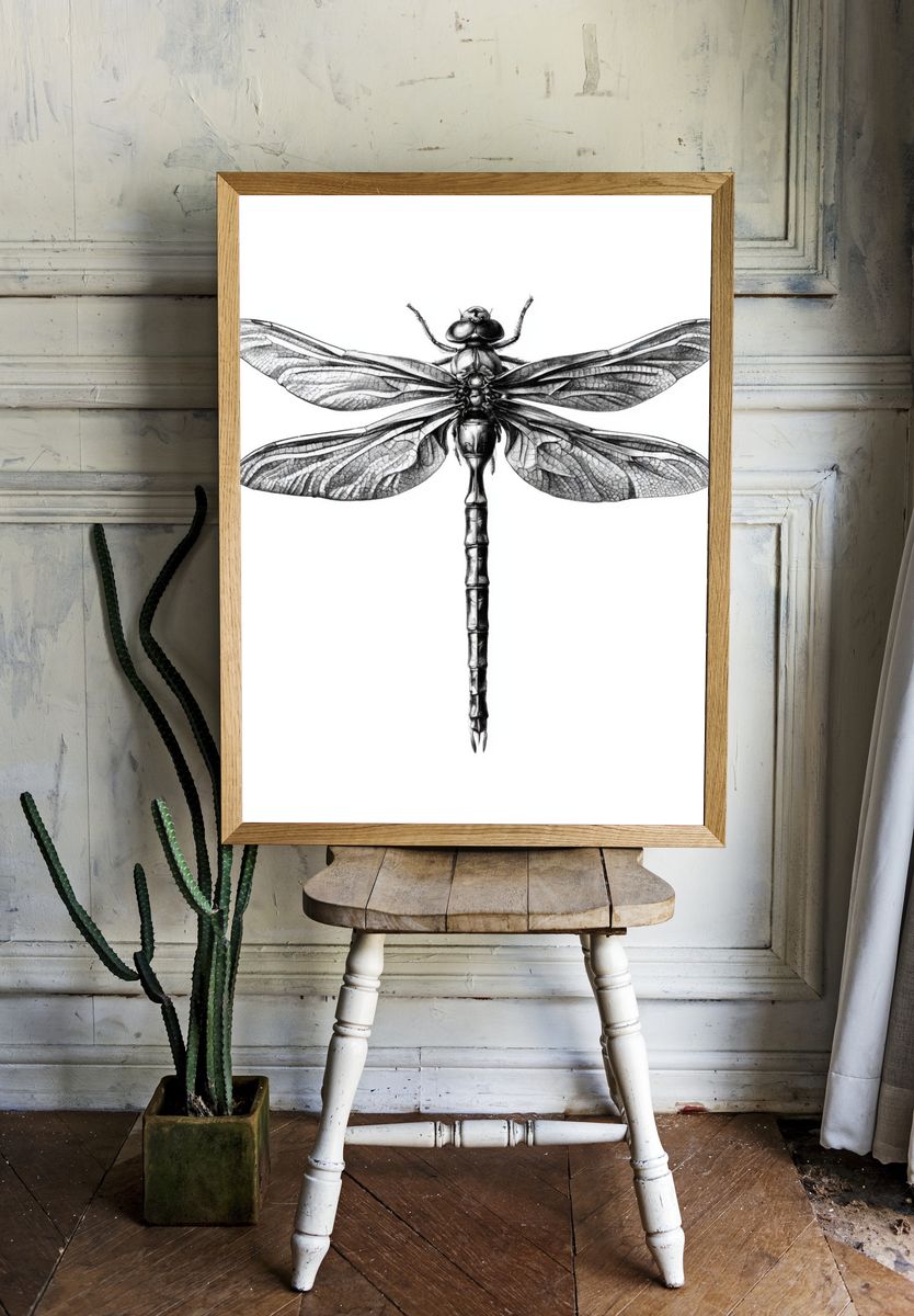 Dragonfly Ink Illustration Poster. — room view 1