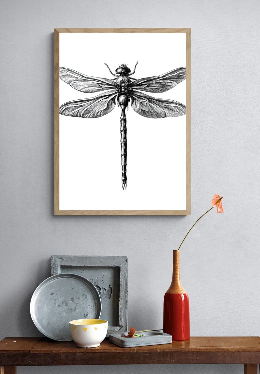 Dragonfly Ink Illustration Poster. — room view 3