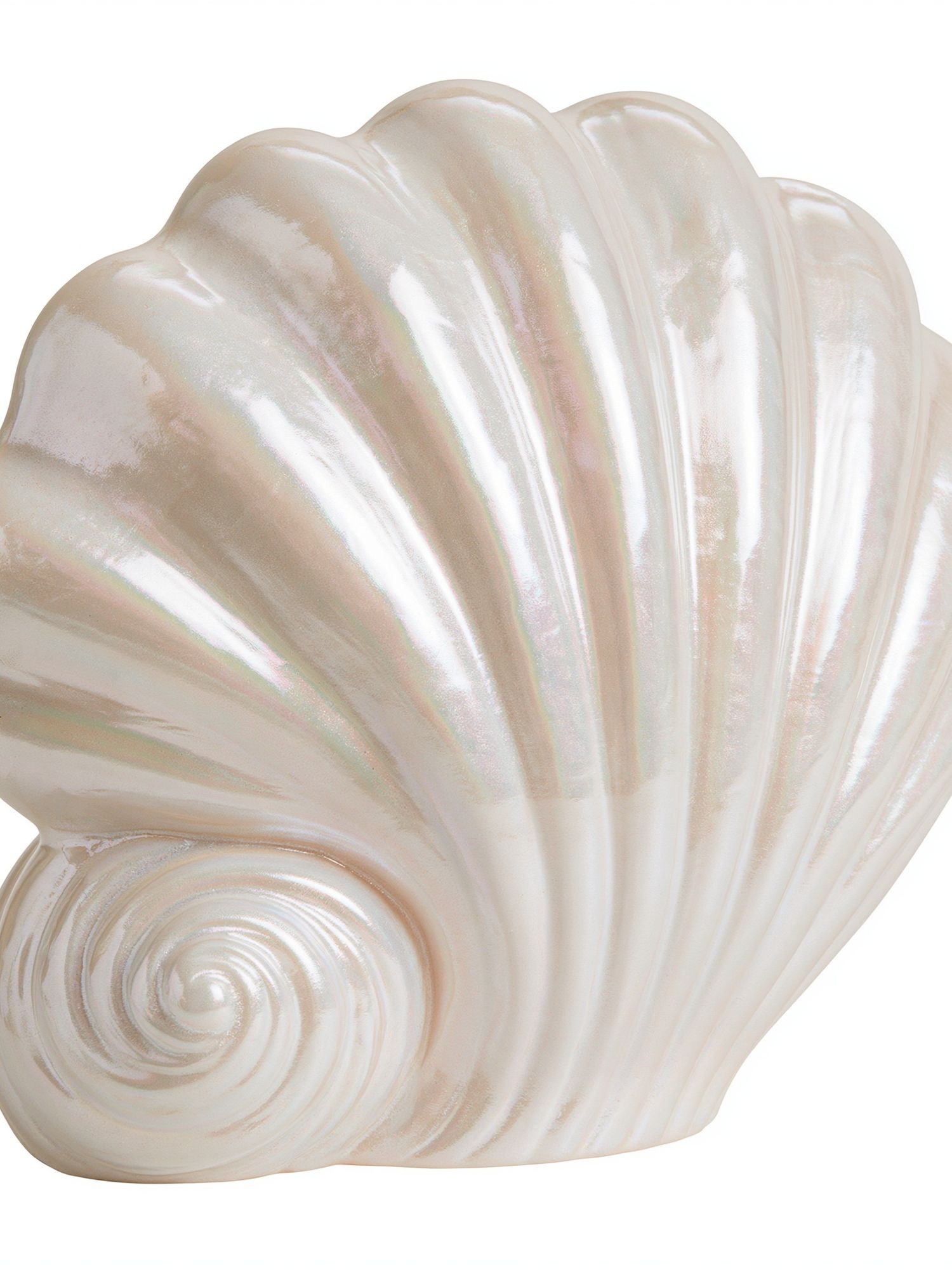 Pearl Seashell Illustration Print. poster — illustration art