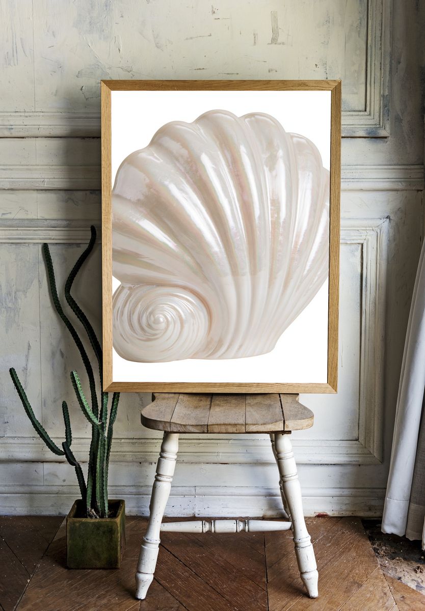 Pearl Seashell Illustration Print. — room view 1