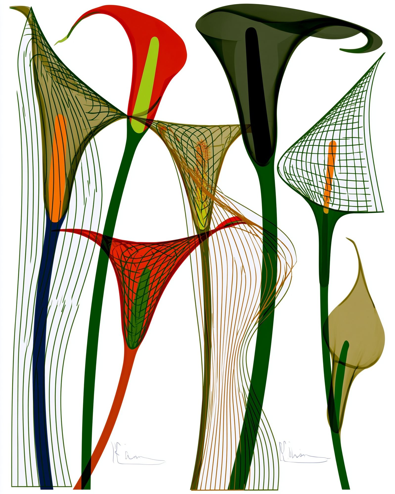 Abstract Floral Line Art Poster. poster detail