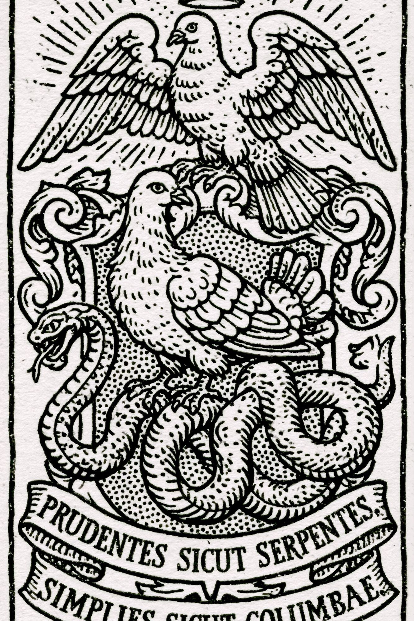 Prudentes Sicut Serpentes Print. poster detail
