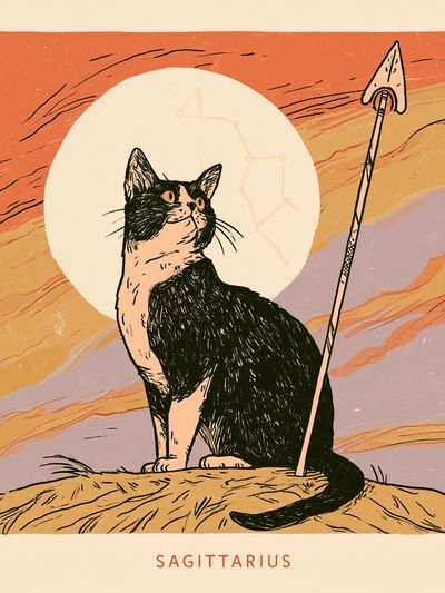 Sagittarius Cat Illustration Poster.