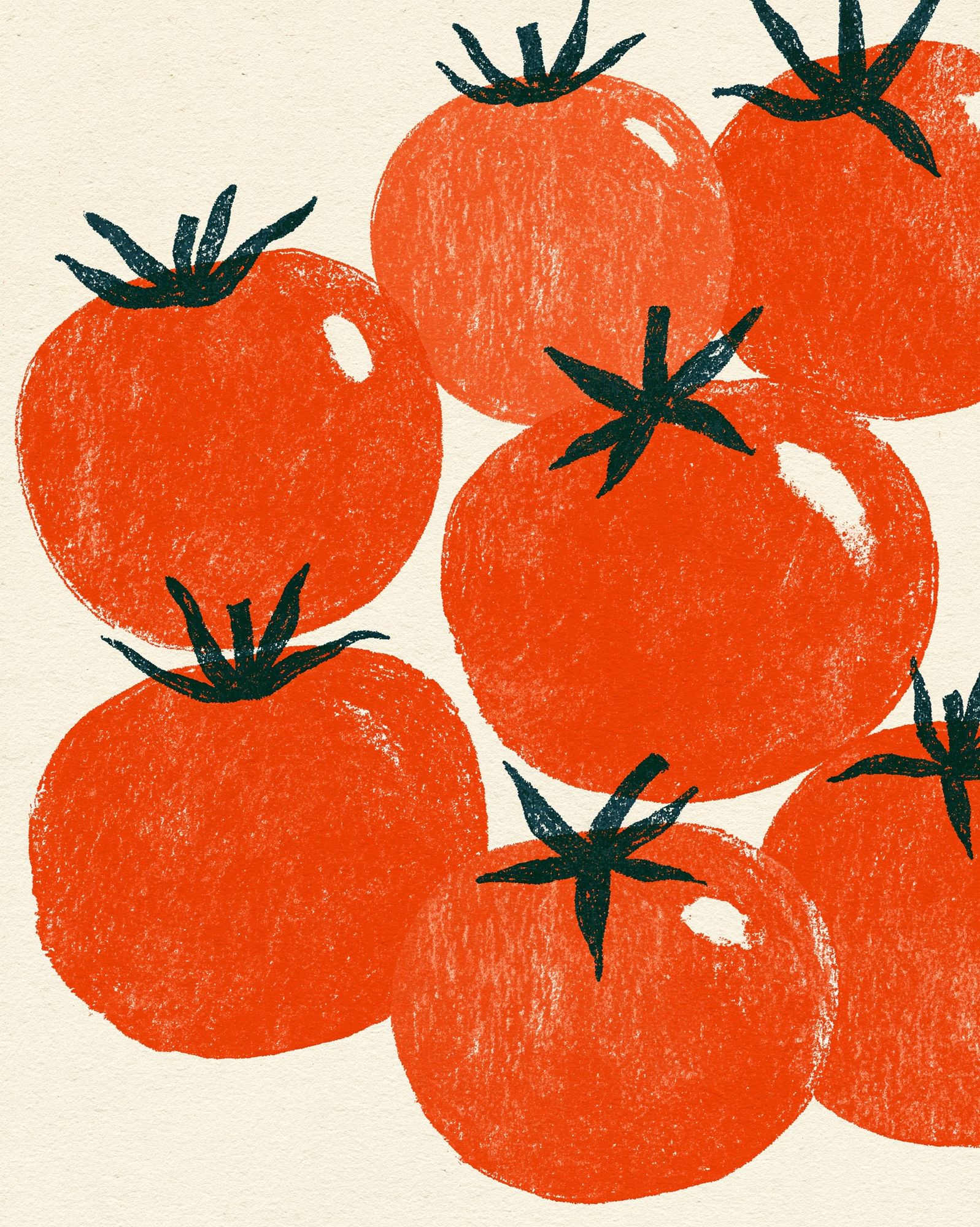 Tomato Harvest Illustration Poster. poster — illustration art