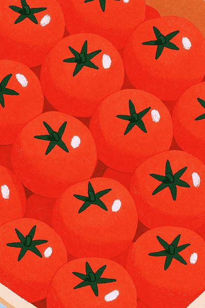 Tomato Crate Illustration Poster. poster